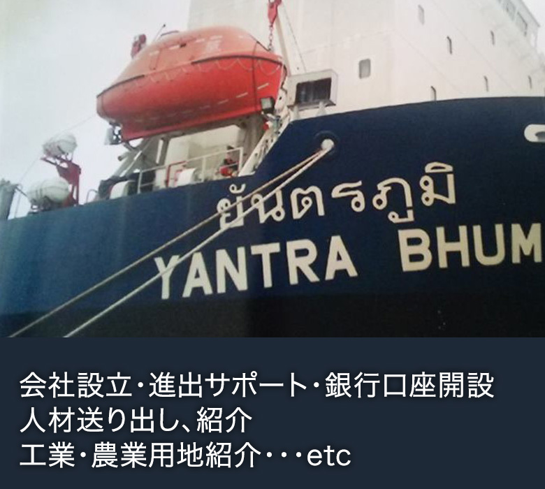 貿易・コンサルタント